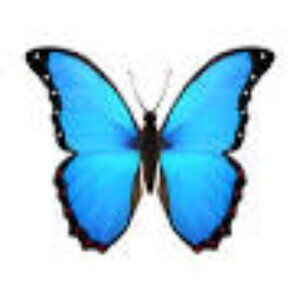 Meet your Posher, Ella